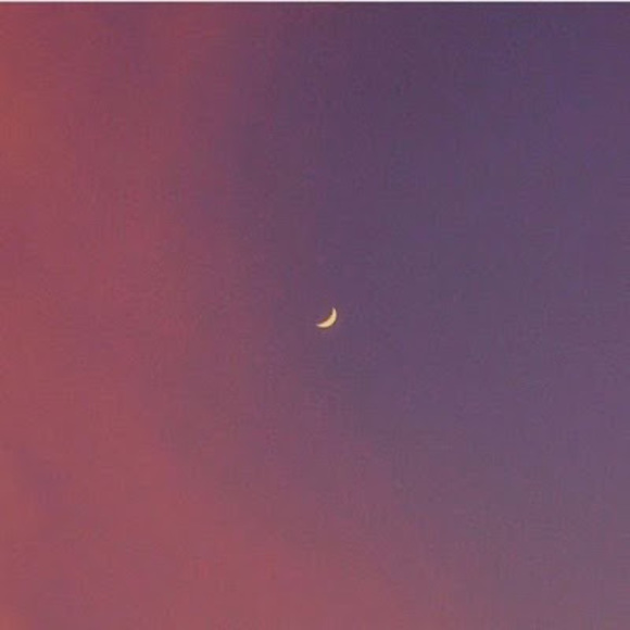 Meet your Posher, Victoria - Picture 1 of 1